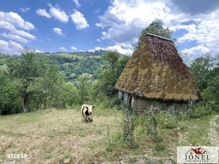 Casa cu 17.596 mp teren de vanzare in Muntii Apuseni