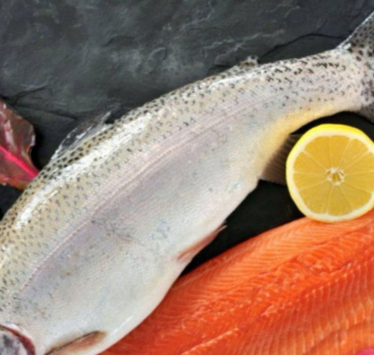 Форель холодного копчения 1кг 220тыс