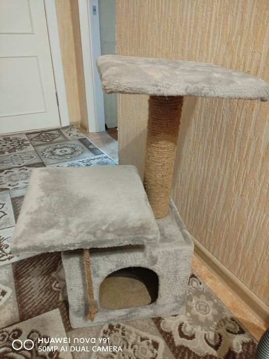 Когтеточка для кошки