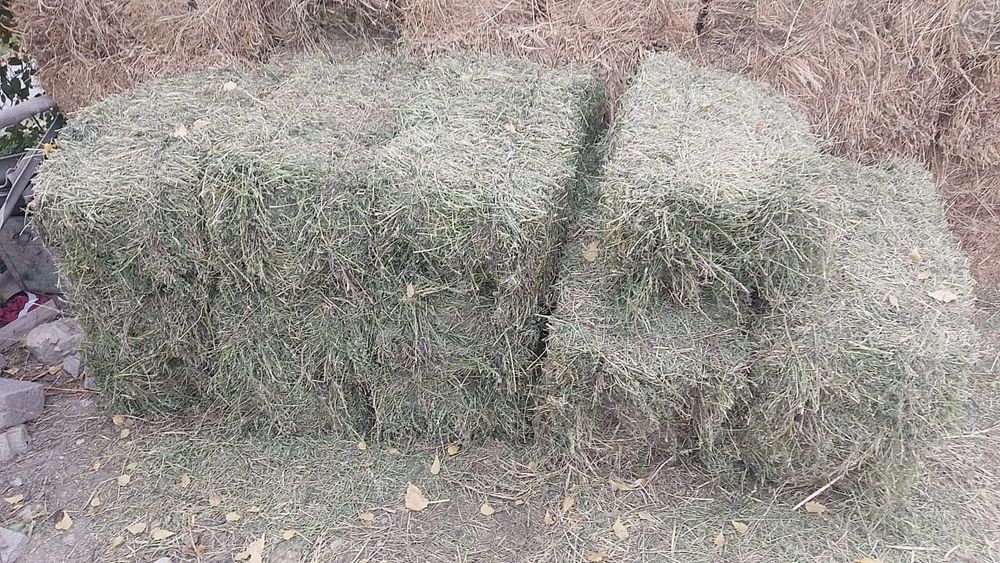 Ассалаумағалайкум Тюк сатылады