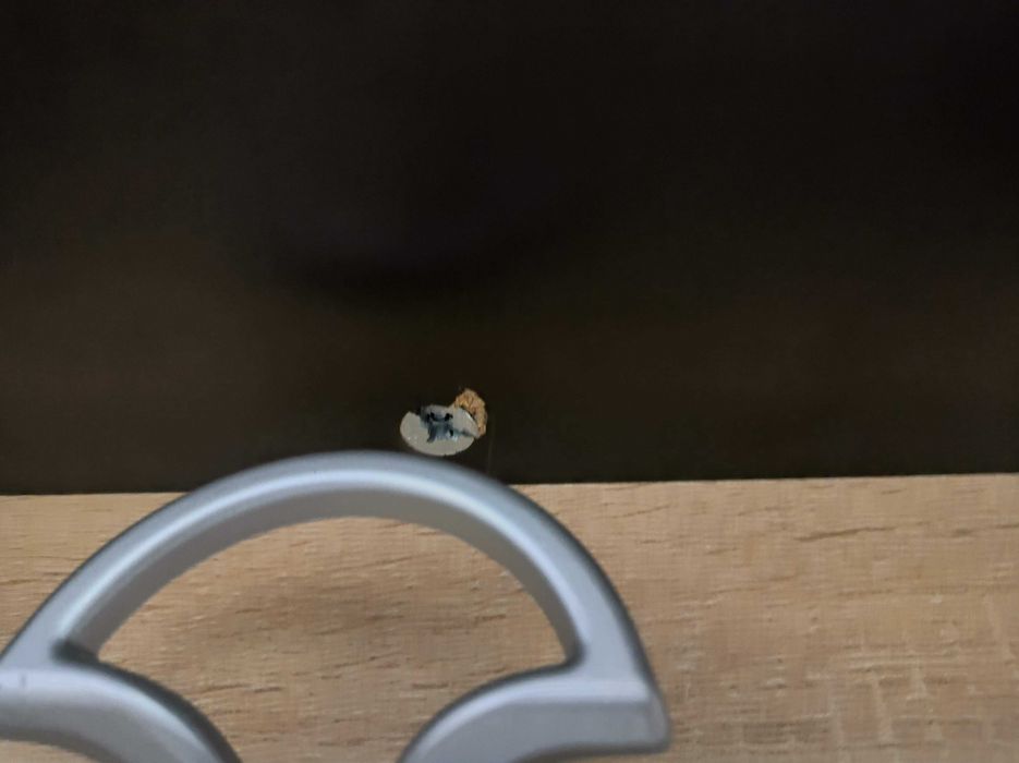 Портманто Домино