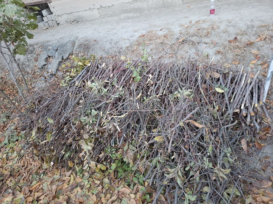 Дрова , o'tin продаётся