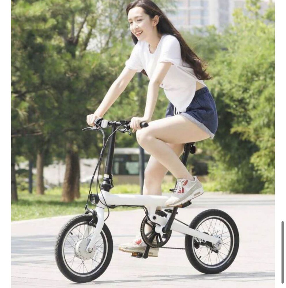 Xiaomi Mi QiCYCLE