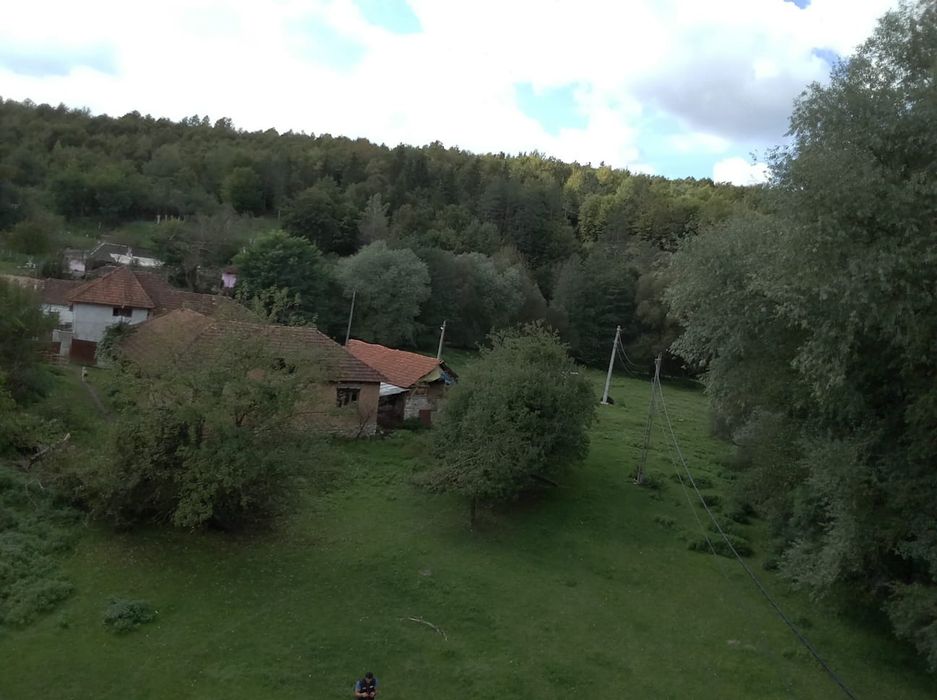 Proprietate Casă+grădina de vânzare