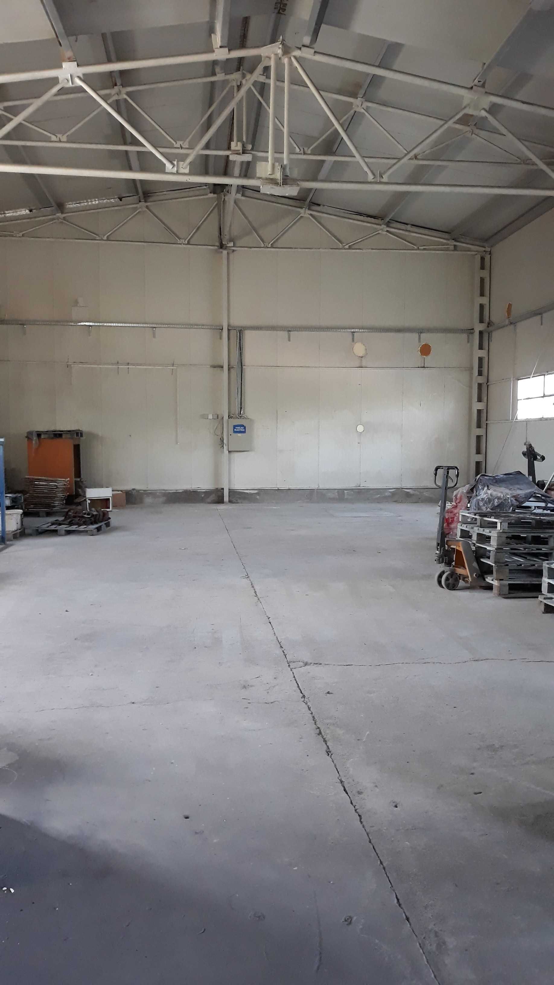 Hala cu birouri, vestiare, teren 8868mp, E60, Tileagd BH,