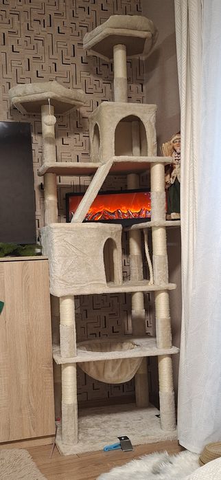 Котешка катерушка