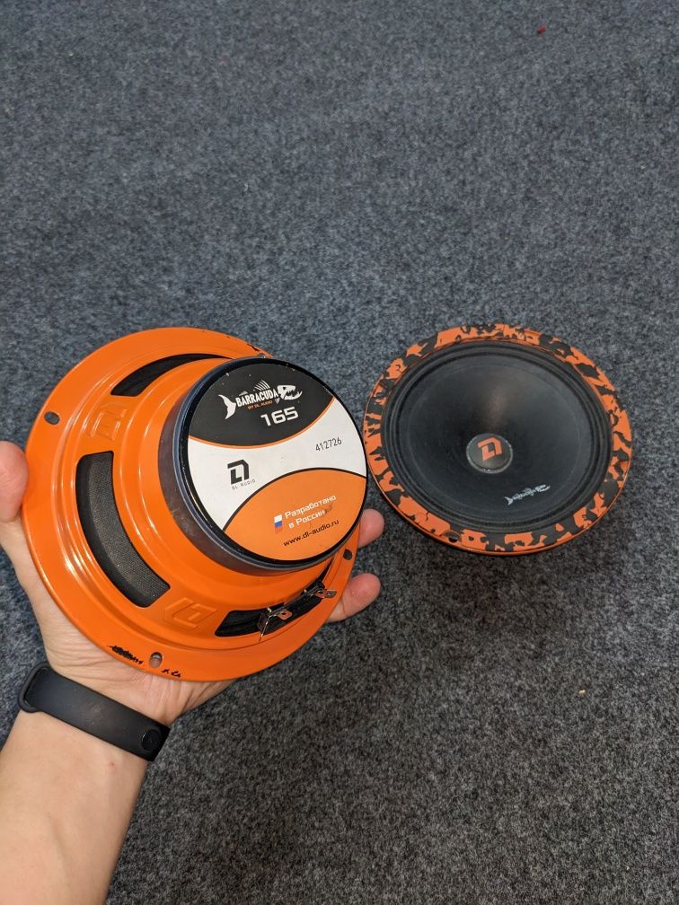 Dl audio barracuda 165