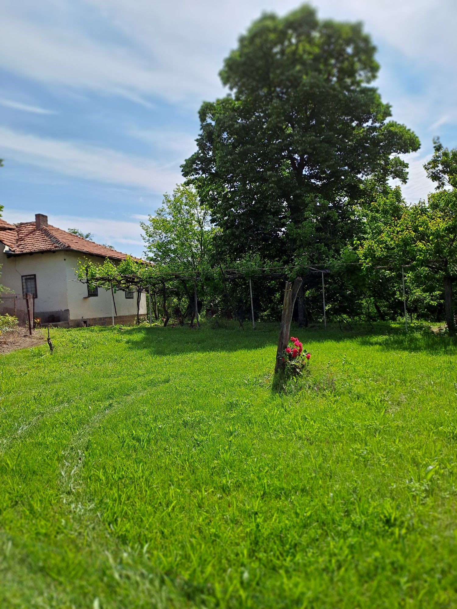 Къща с двор в с. Згурово