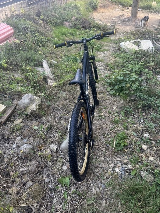 scott dirt bike
