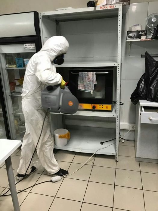 Дезинфекция домов помещений участков от ос тараканов клопов и таракано