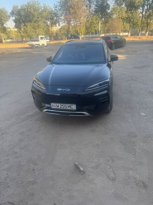 Byd EV song plyus chempion
