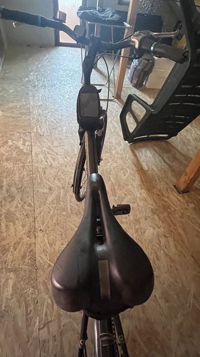 Vand bicicleta Pegasus