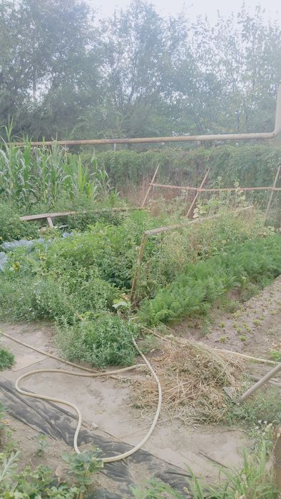 Продается дом срочно