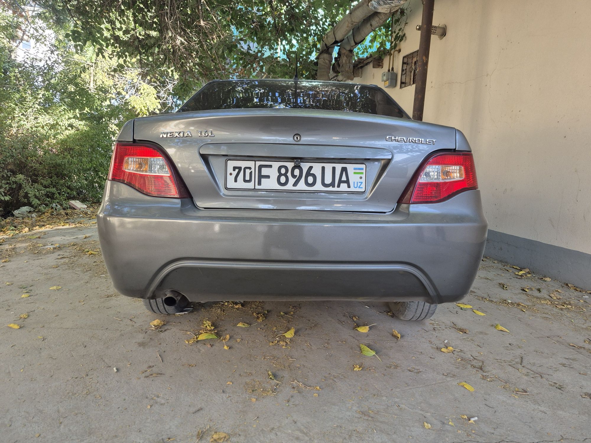 Nexia2superkandisiyaner