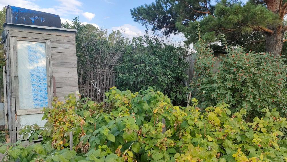 Дача в дачном обществе Черёмушки