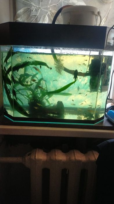 Аквариум 170 литров