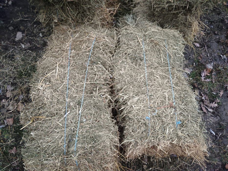 Baloti lucerna/otava ofer transport