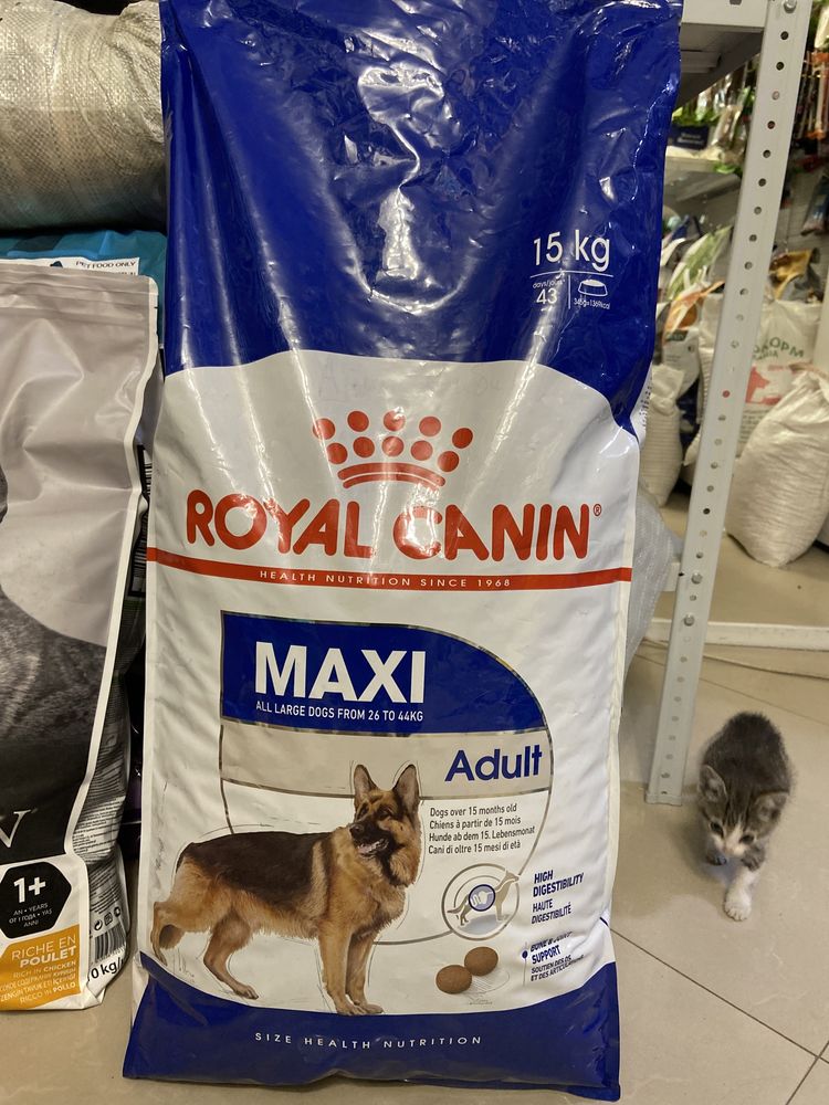 Сухой корм для собак крупных пород Роял Канин Royal Canin