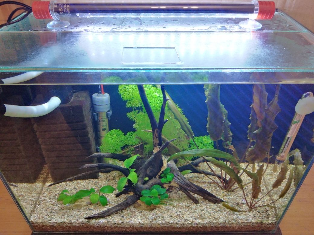 Напълно оборудван аквариум