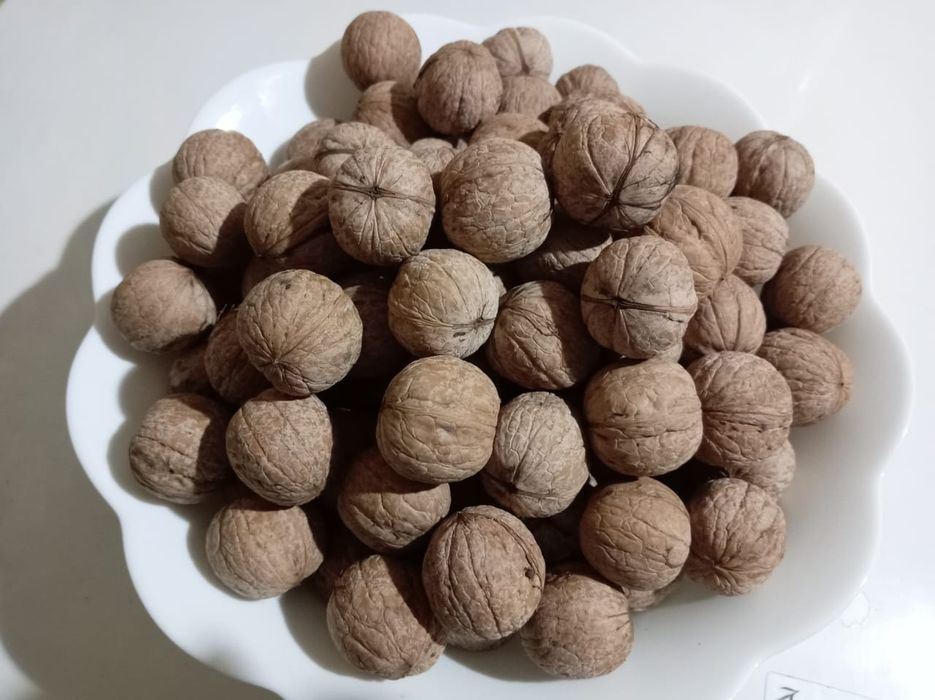 Продам орехи грецкие