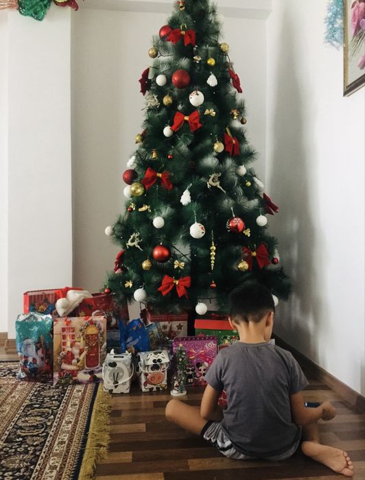 Елка 2.20 длина 25тыс ТОРГ