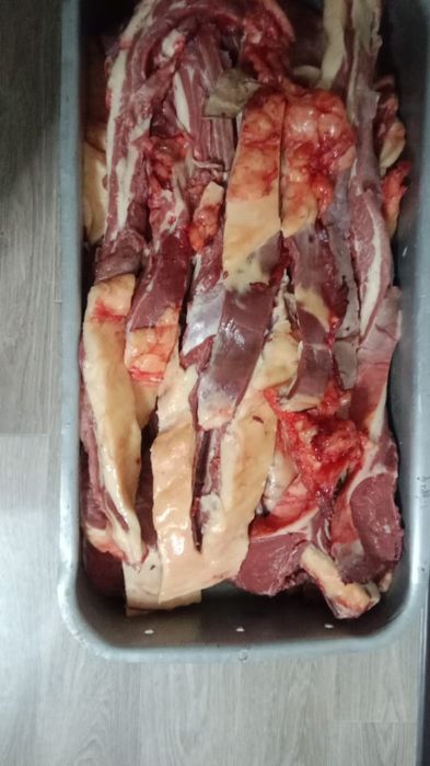 Соғымға жақсы жабағылар сатамыз