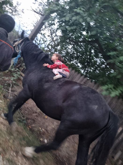 vand iapa ,10.000 negociabil