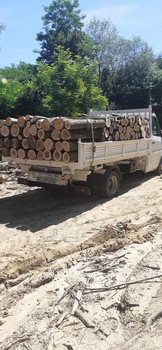 Lemne de foc la 320 lei metru