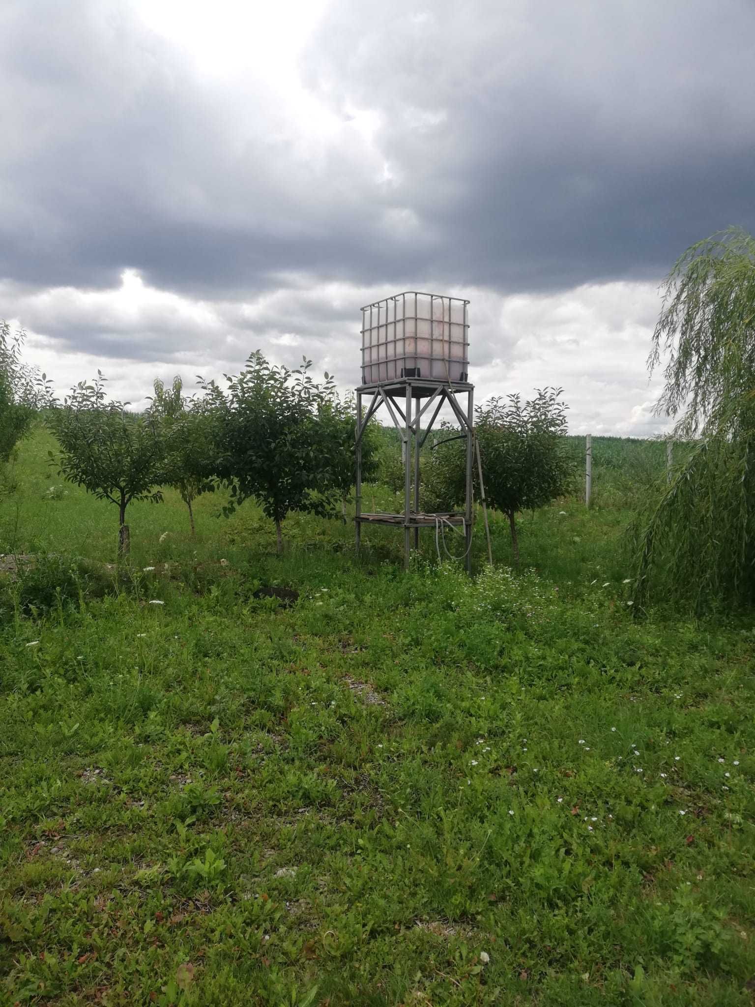 Vand teren cu livada Trei Movile, Scheia