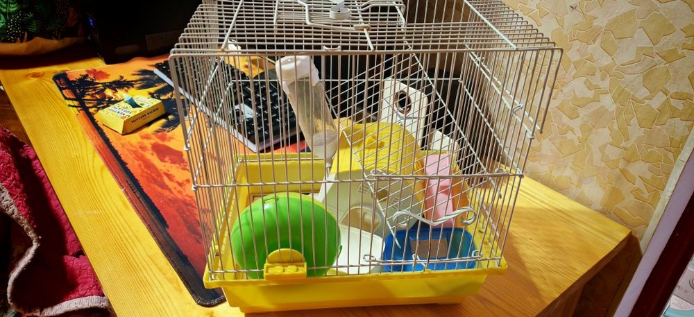 Продам клетку для хомяка