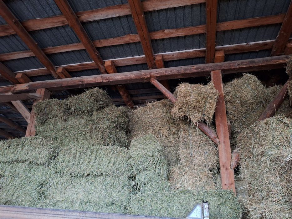 Vand baloti de lucerna