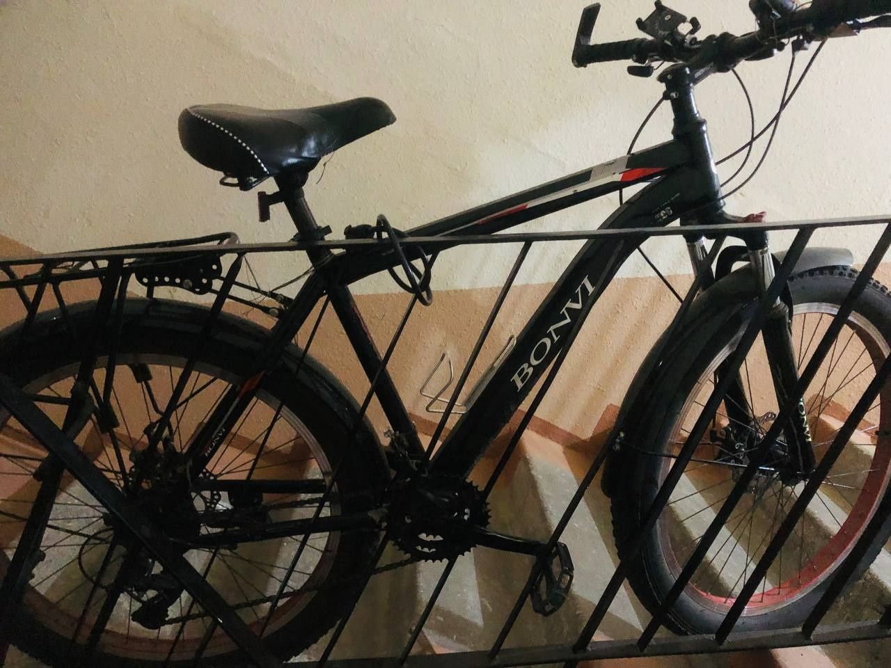 Velosifed skorisli, kotta balonli 28