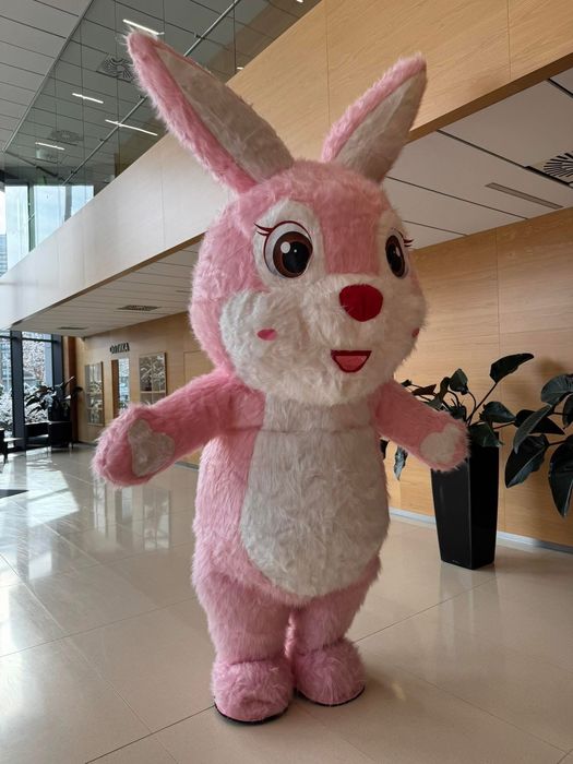 Аниматори,София,костюми, машини,фирми,частно парти,детска градина,клуб