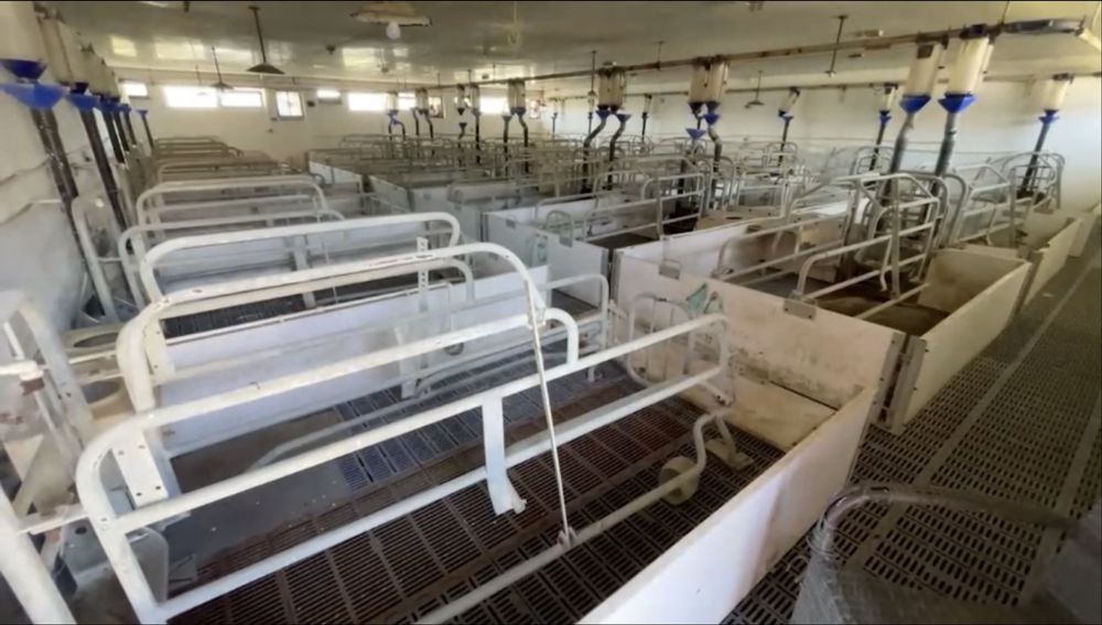 Vând fermă de porcine reproducție + FNC + teren 40.000 mp – Suceava