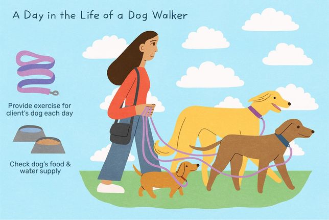 Dog walker. Constanta