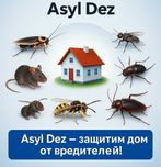 Дезинсекция для квартиры в Алматы: избавим от тараканов и клопов