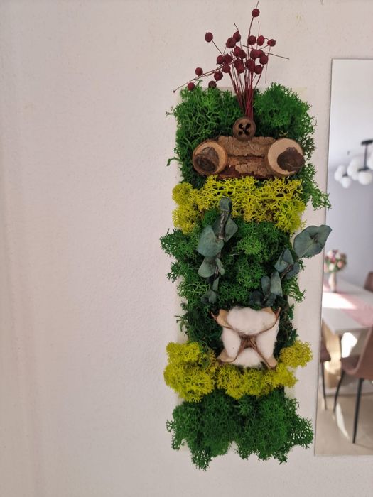 Vand tablori licheni pe comanda