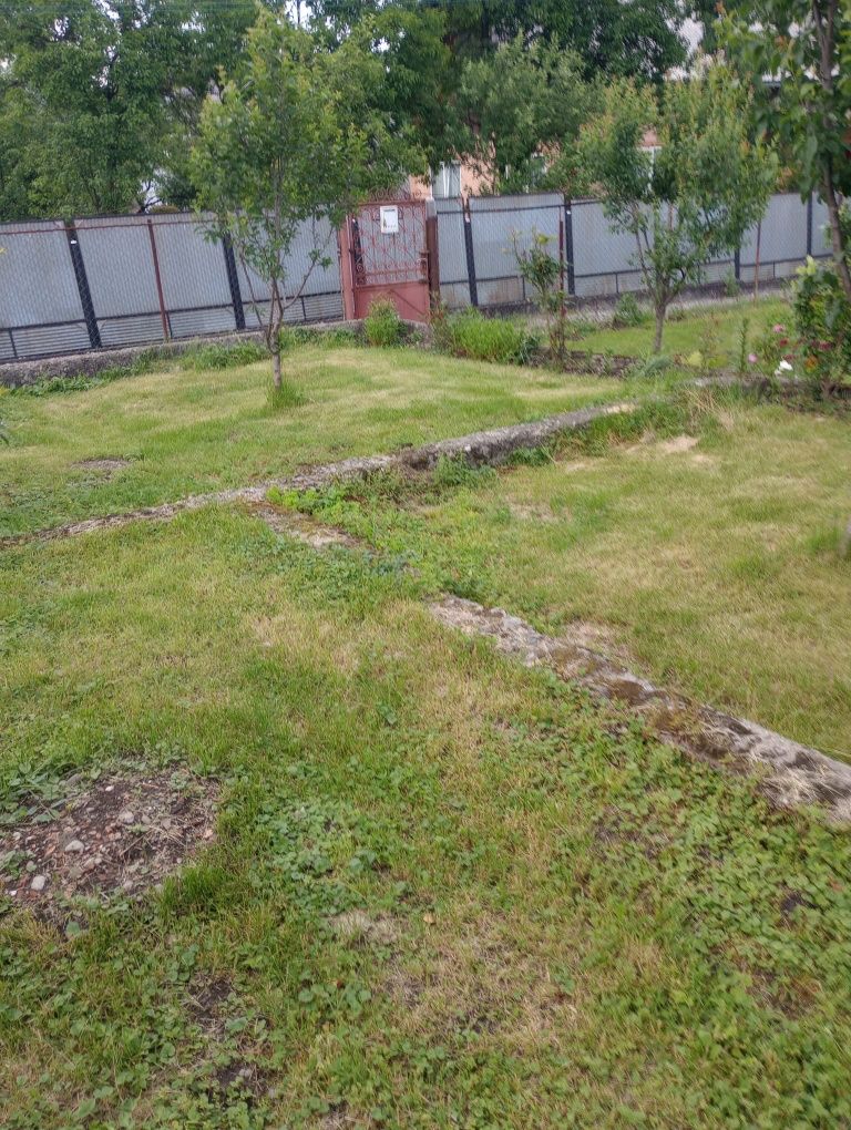 Casa plus curte Vișeu de Sus