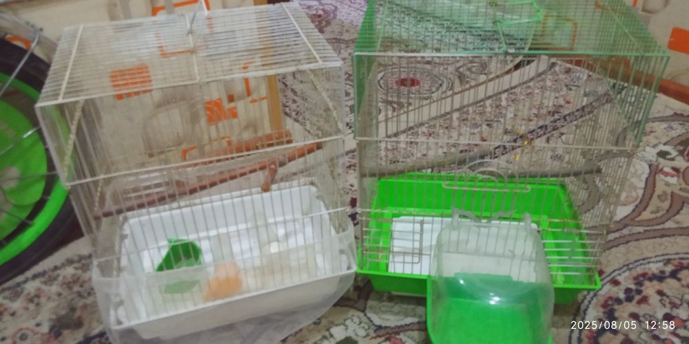 Срочно продается клетка.