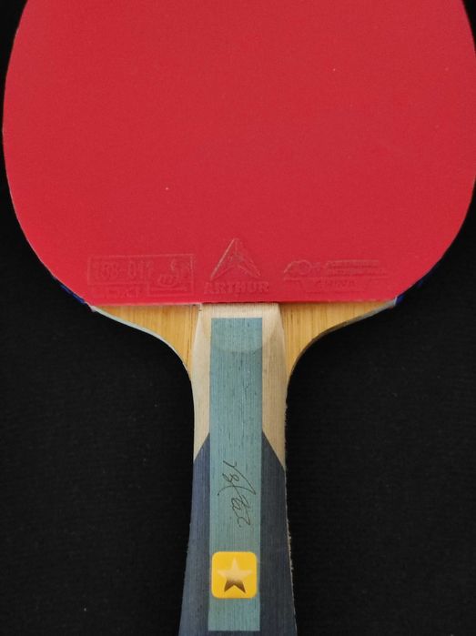 Paleta Tenis de Masa