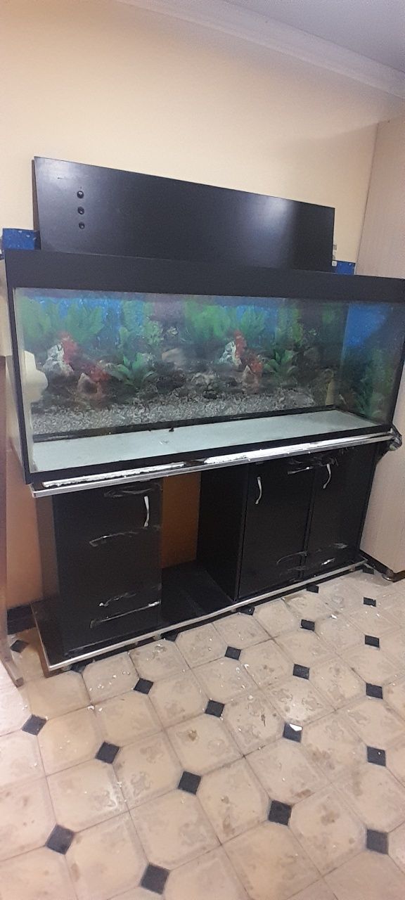 Akvarium Evro Kronka 10mm 160×40×70