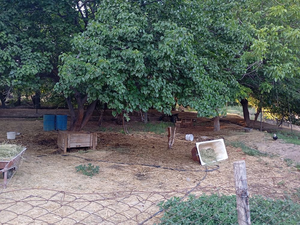 4 sotix yer Yashnobod tumani tuzel