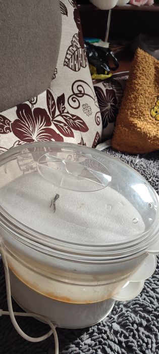 Пароварка в хорошем состоянии