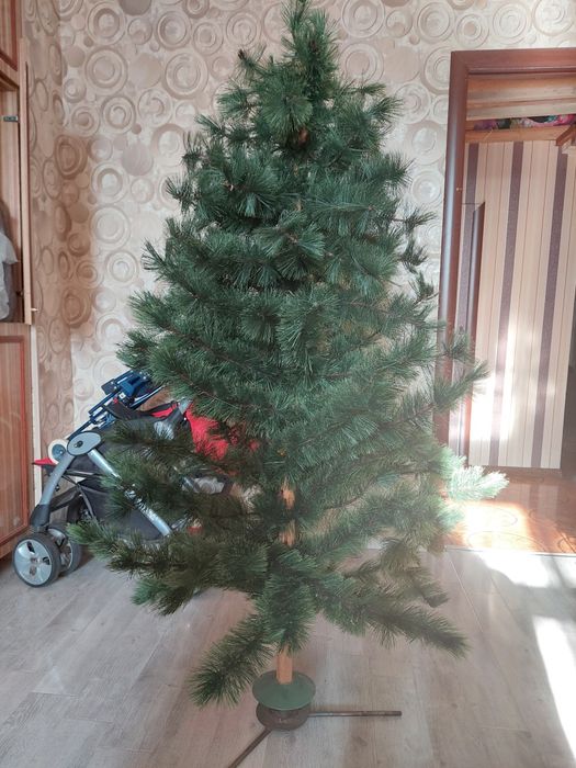 НОВОГОДНЯЯ ЁЛКА в отличном состоянии