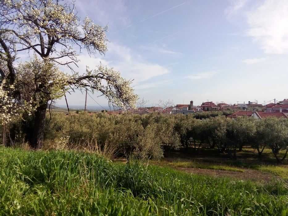 Парцел в с. Офринио, обл. Кавала . Регулация. 390 кв.м. 50000 е