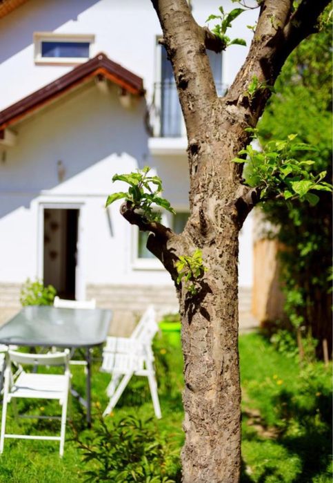 Cazare Sibiu Victoriei Residence