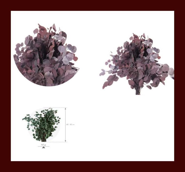 Plante stabilizate ,pentru decor tablouri si pereti vegetali