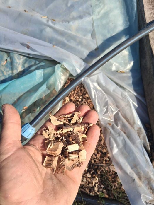 Tocator crengi Jansen GTS 1500-E, 15cp, Schredder 11Kw