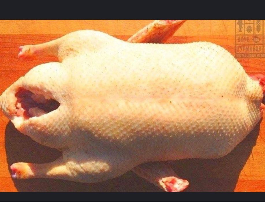 Продам гусей домашних , доставка по Астане