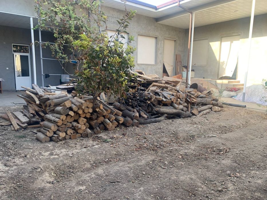 Quriq otin sotiladi srochna